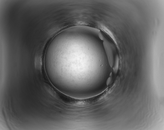 X0000088910059200706081349