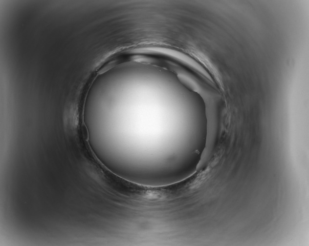 X0000088910060200706081349
