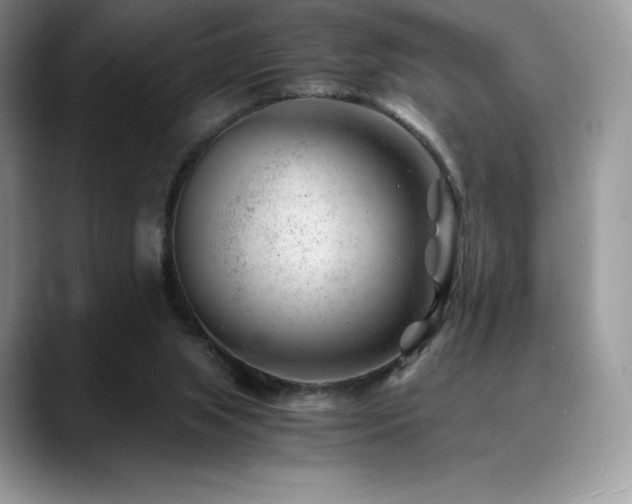 X0000088910063200706081349