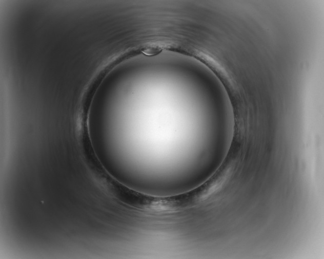 X0000088910064200706081349