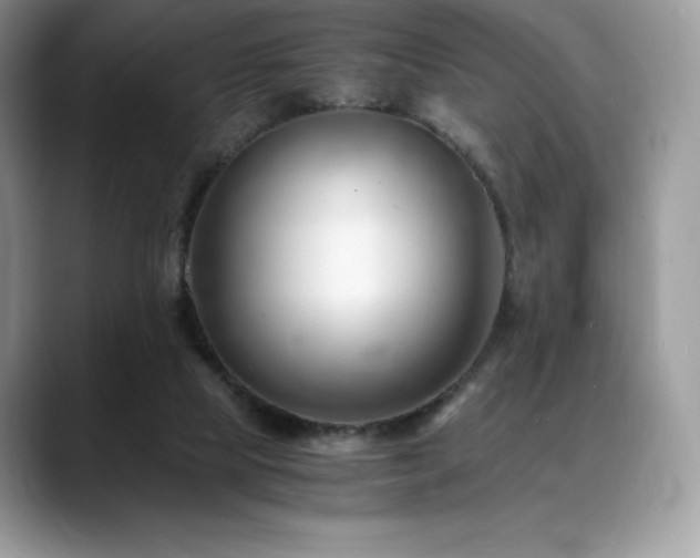 X0000088910065200706081349