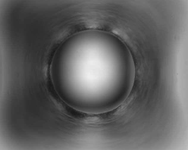 X0000088910066200706081349