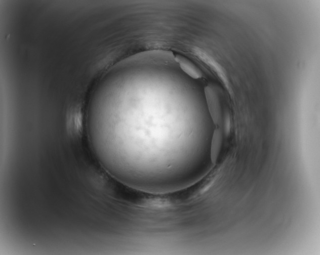 X0000088910067200706081349