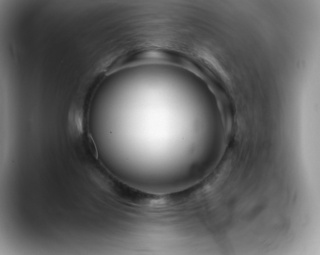 X0000088910068200706081349