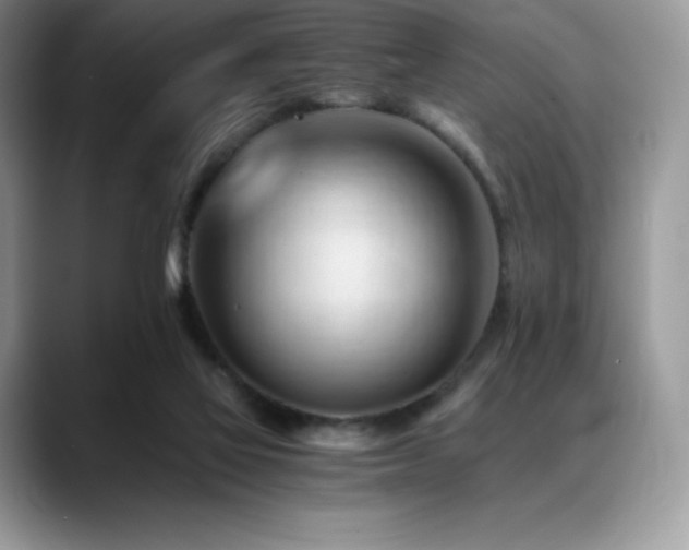 X0000088910069200706081349