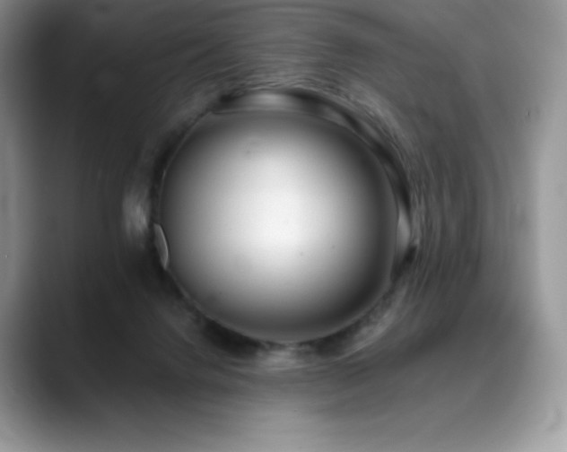 X0000088910072200706081349