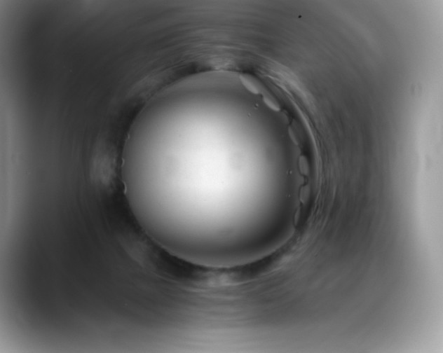 X0000088910073200706081349