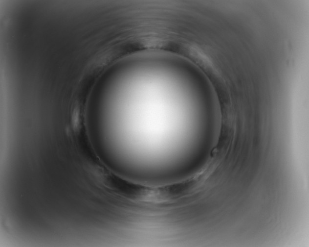 X0000088910074200706081349