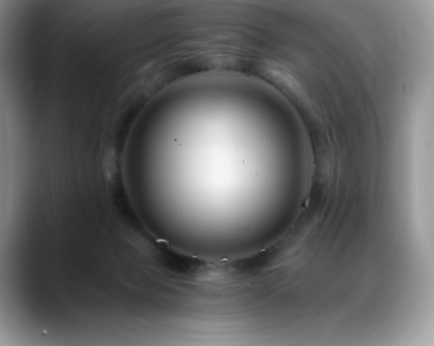 X0000088910077200706081349