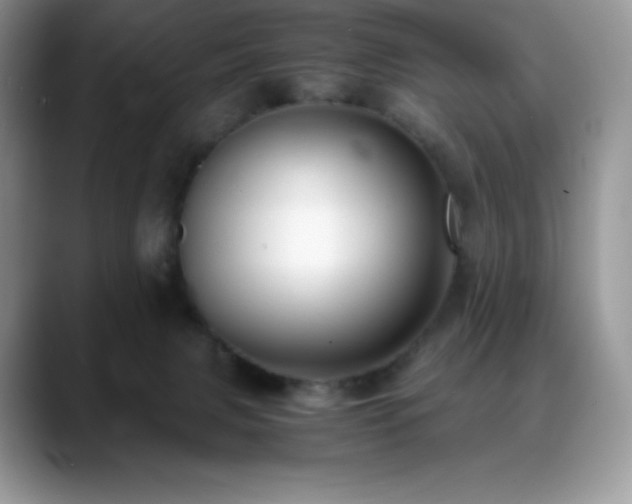 X0000088910079200706081349