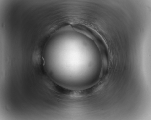 X0000088910080200706081349