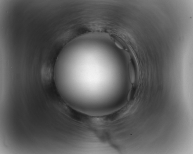 X0000088910081200706081349