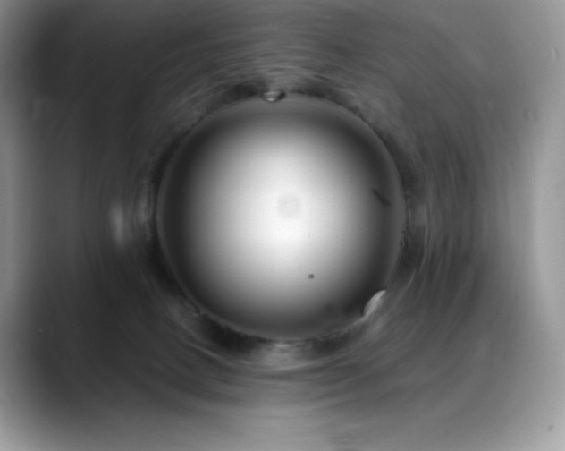 X0000088910082200706081349