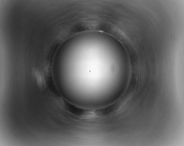 X0000088910083200706081349