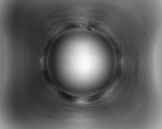 X0000088910088200706081349