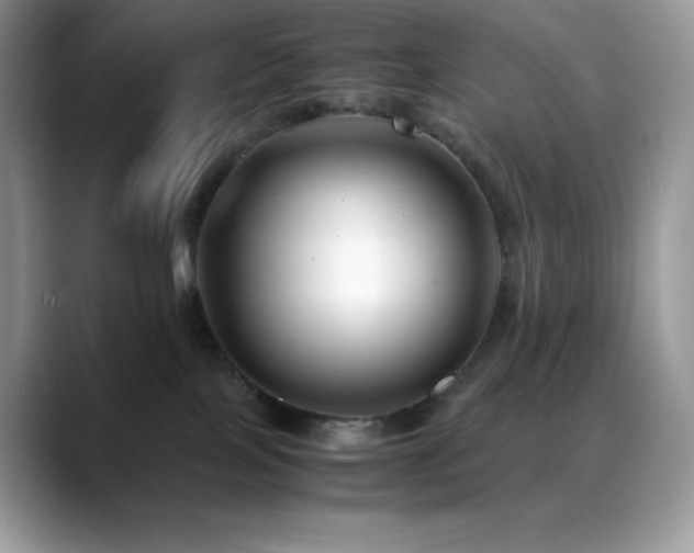 X0000088910089200706081349
