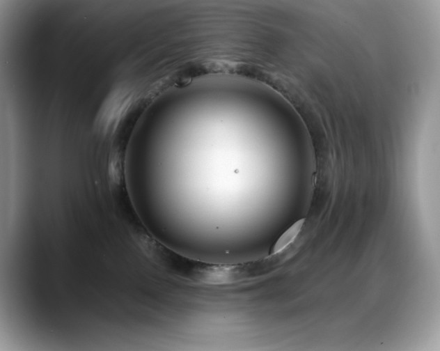 X0000088910090200706081349