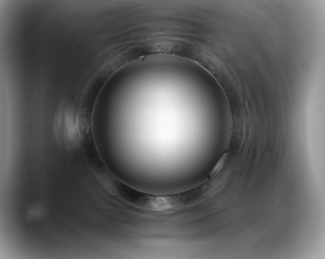 X0000088910091200706081349