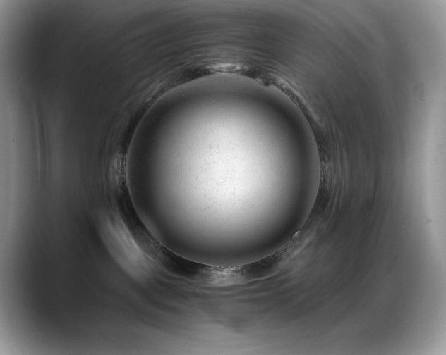 X0000088910093200706081349