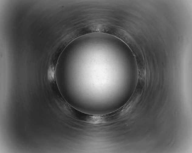 X0000088910095200706081349