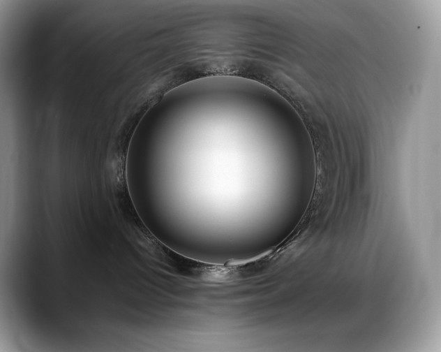 X0000088910096200706081349