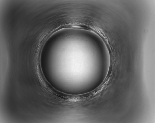 X0000088910097200706081348
