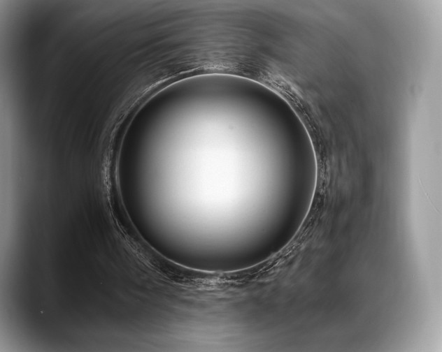 X0000088910098200706081348