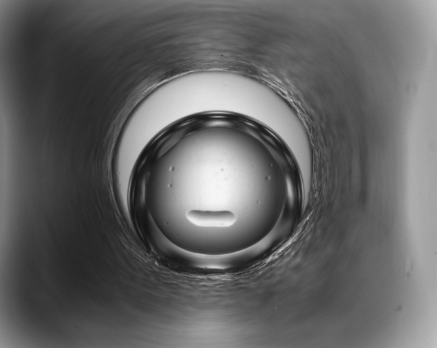 X0000088910099200706081348
