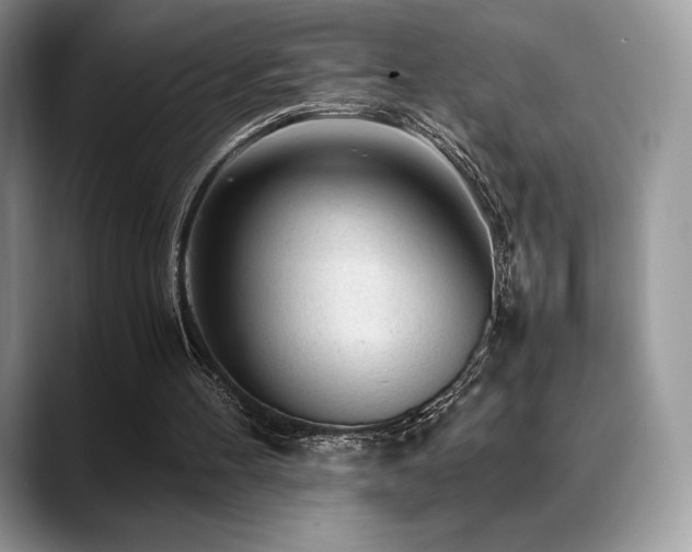 X0000088910100200706081348