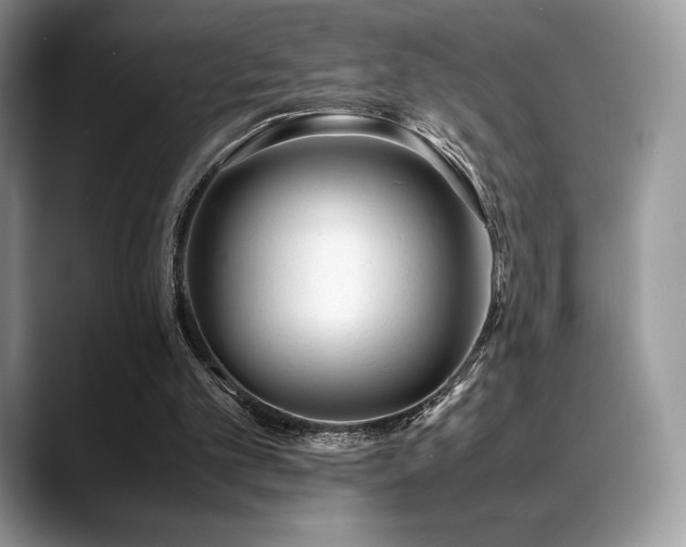 X0000088910101200706081348