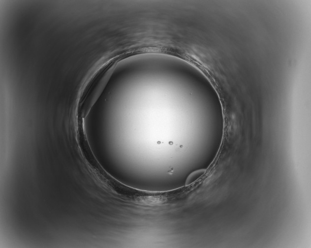 X0000088910102200706081348