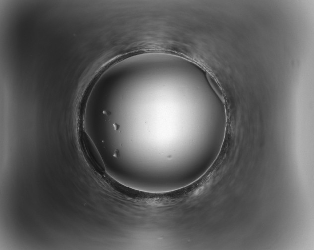 X0000088910103200706081348