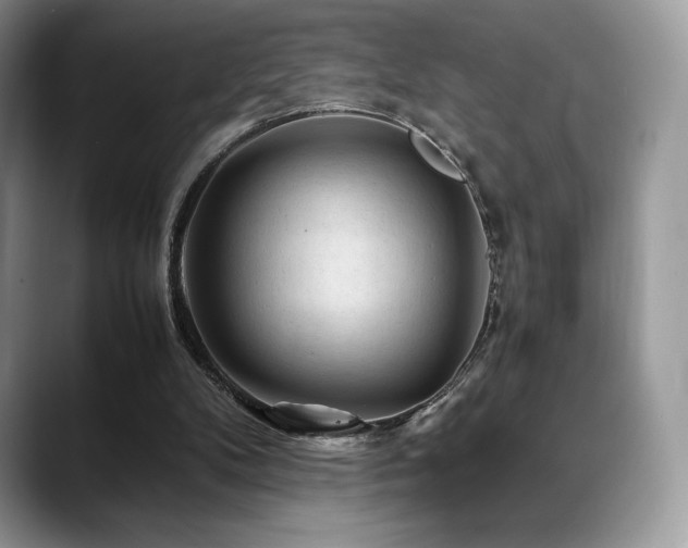 X0000088910104200706081348