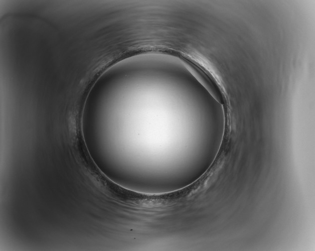 X0000088910105200706081348