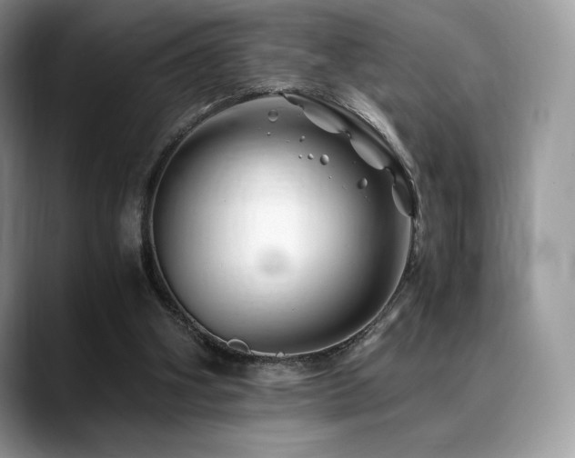 X0000088910106200706081348