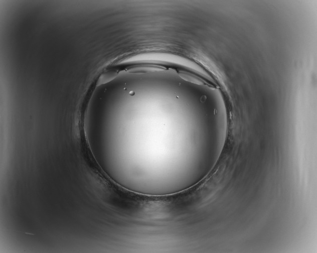 X0000088910107200706081348