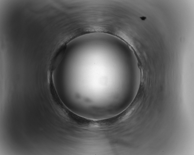 X0000088910109200706081348