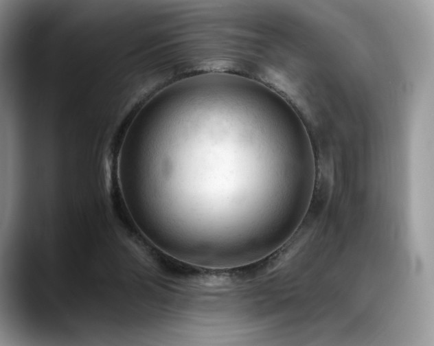 X0000088910110200706081348