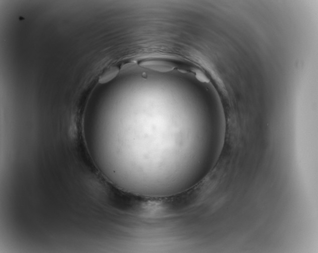 X0000088910114200706081348