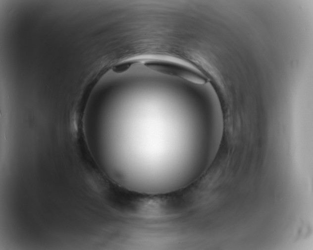 X0000088910115200706081348
