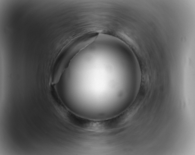 X0000088910117200706081348