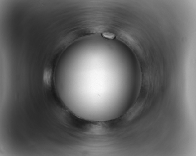X0000088910118200706081348
