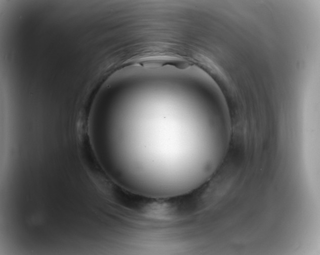 X0000088910119200706081348