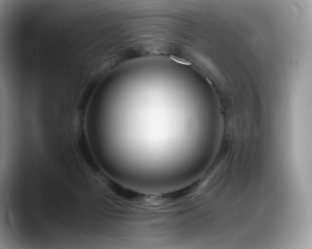 X0000088910121200706081348