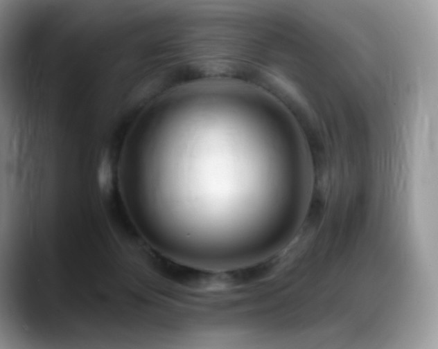 X0000088910124200706081348