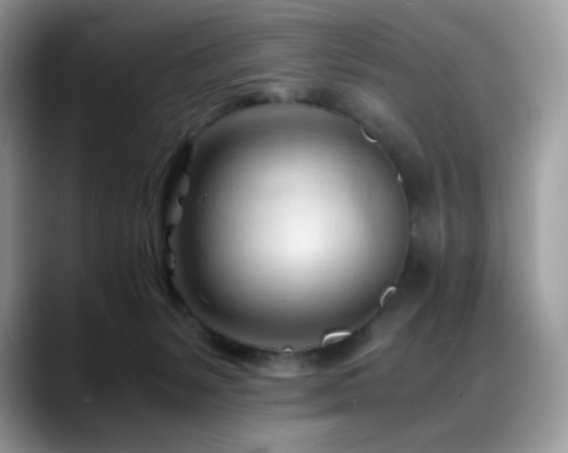 X0000088910127200706081348