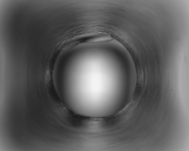 X0000088910128200706081348