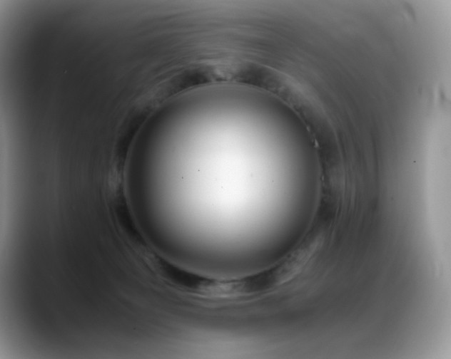 X0000088910129200706081348