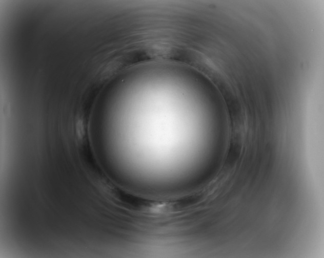 X0000088910130200706081348
