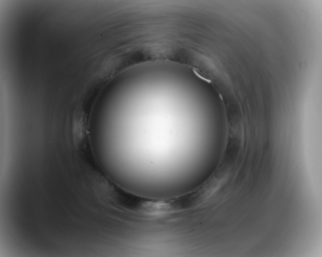 X0000088910133200706081348